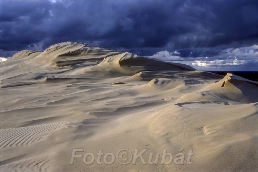 Písečné duny 22.jpg